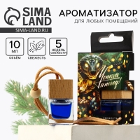 Ароматизатор для машины новогодний XXL «Успеха и побед», на Новый год, свежесть Ароматизатор для машины новогодний XXL «Успеха и побед», на Новый год, свежесть