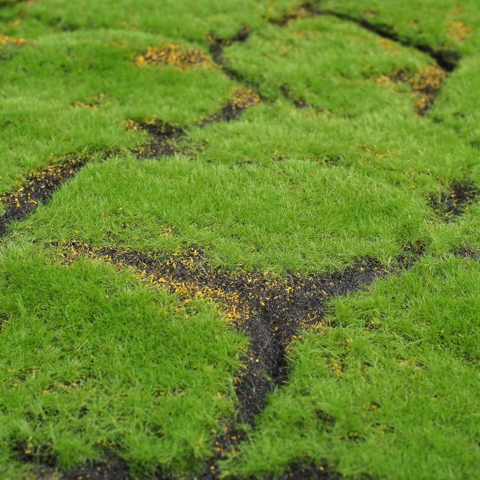 Мох искусственный, декоративный, полотно 1 &times; 1 м, рельефный, камни, зелёный с щепой, Greengo