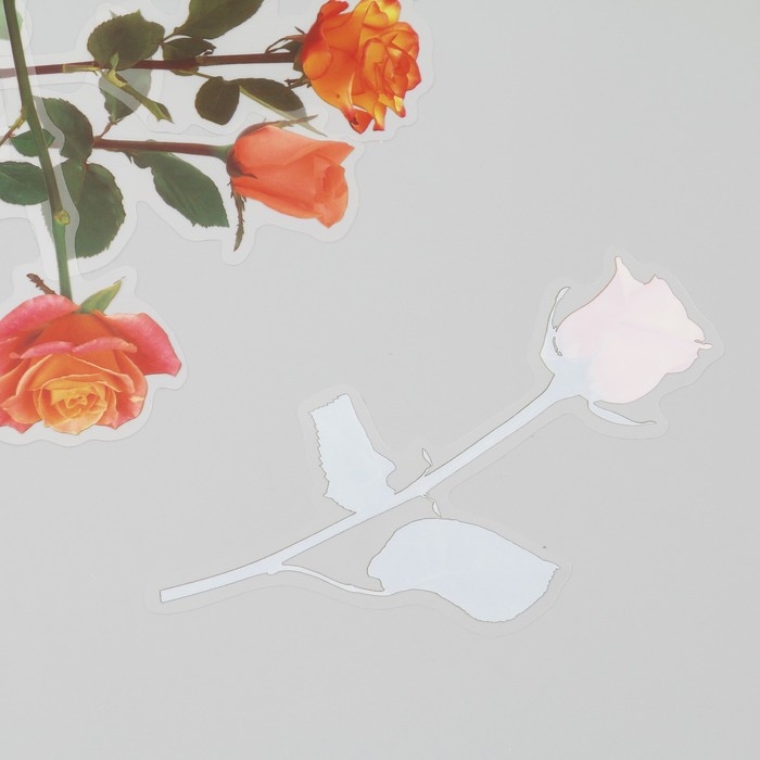 Наклейки пластик "Цветы и цитаты. Желто-оранжевые" набор 12 шт 8,5х21,5х0,2 см