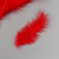 Перо декоративное гусиное пуховое "Алое" набор 40 шт h=10-15 см Перо декоративное гусиное пуховое "Алое" набор 40 шт h=10-15 см