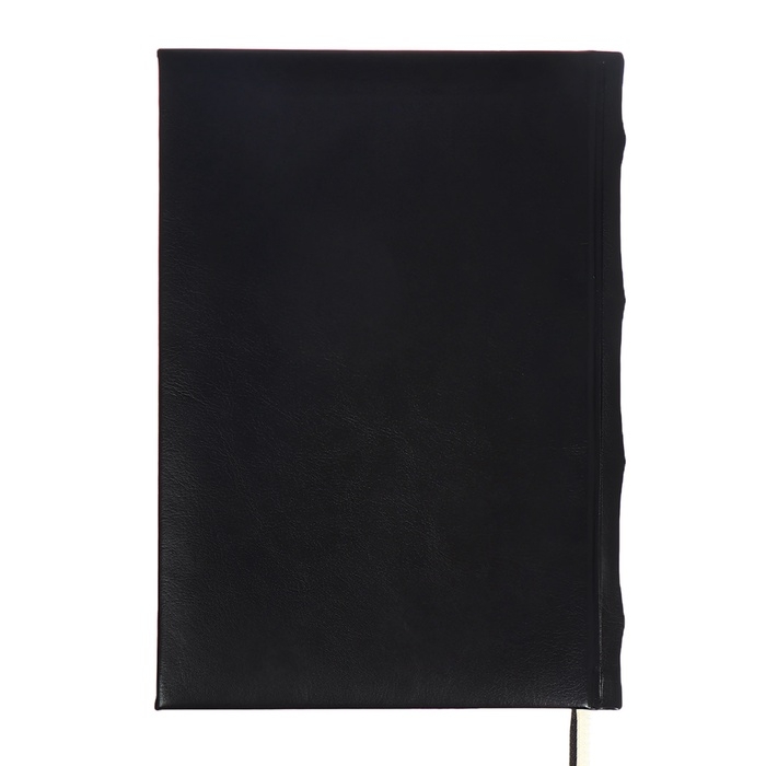 Ежедневник недатированный A5, 176 листов, deVENTE.Symbol, твёрдая обложка из искусственной кожи с поролоном, золотой срез, блок 70 г/м2, чёрный