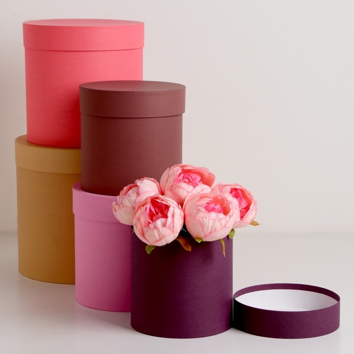 Набор шляпных коробок 5в1, кофейный, 23 х 23 - 15 х 15 см Набор шляпных коробок 5в1, кофейный, 23 х 23 - 15 х 15 см