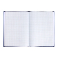 Книга учета, 192 листа, обложка бумвинил, блок ГАЗЕТНЫЙ, клетка, цвет синий Книга учета, 192 листа, обложка бумвинил, блок ГАЗЕТНЫЙ, клетка, цвет синий