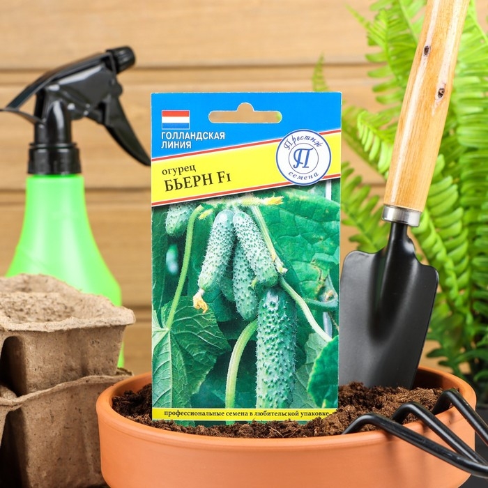 Семена огурца Семена огурца "Бьерн", F1, 5 шт.