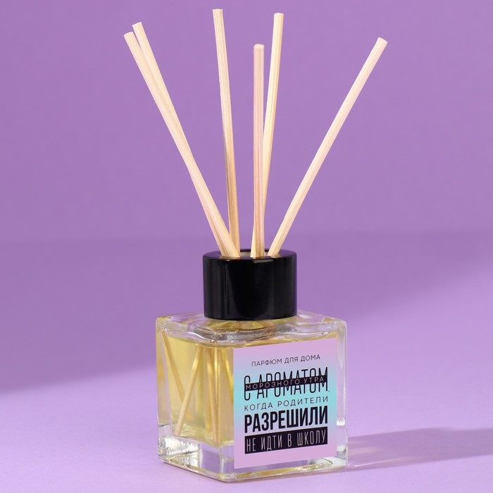 Диффузор ароматический &laquo;Аромат морозного утра&raquo;, апельсин, 50 мл.