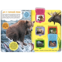 Книжка с окошками &laquo;В лесу&raquo;