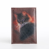 Обложка для проездного, цвет бордовый Обложка для проездного, цвет бордовый