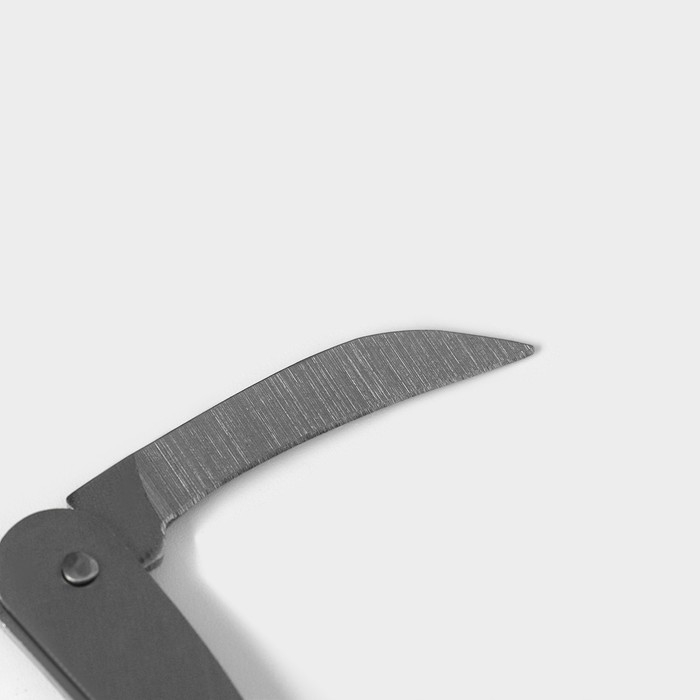 Набор для вина в кейсе Доляна «Бутылка», 5 предметов: пробка, кольцо, каплеуловитель, штопор, нож для срезания фольги Набор для вина в кейсе Доляна «Бутылка», 5 предметов: пробка, кольцо, каплеуловитель, штопор, нож для срезания фольги