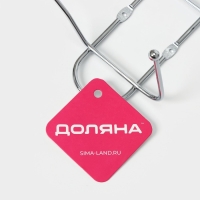 Вешалка настенная на 4 двойных крючка Доляна &laquo;Блеск&raquo;, 32,5&times;5,5&times;13 см, цвет серебряный