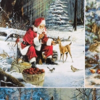 Декупажная карта "Рождественнское чудо" плотность 45 г/м2, А4 Декупажная карта "Рождественнское чудо" плотность 45 г/м2, А4