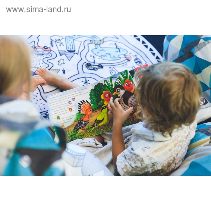 Музыкальная книга «Страусёнок», 12 стр. Музыкальная книга «Страусёнок», 12 стр.