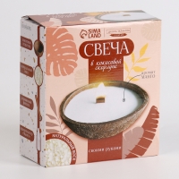 Свеча своими руками. Создание свечи в кокосовой скорлупе &laquo;Манго&raquo;, набор для творчества