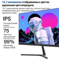 Монитор SANC M2453, 23.8", IPS, 1920&times;1080, 75Гц, 5 мс, D-Sub, HDMI, чёрный