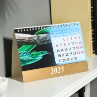 Календарь настольный, домик "Символ года - 2" 2025, 14 х 20 см Календарь настольный, домик "Символ года - 2" 2025, 14 х 20 см