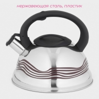 Чайник со свистком из нержавеющей стали Доляна &laquo;Волна&raquo;, 2,8 л, с индикатором нагрева, фиксированная ручка