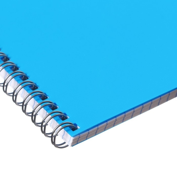 Тетрадь на гребне A4 48 листов в клетку Calligrata Голубая, пластиковая обложка, блок офсет Тетрадь на гребне A4 48 листов в клетку Calligrata Голубая, пластиковая обложка, блок офсет