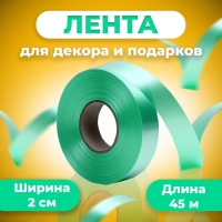 Лента для декора и подарков, светло-зеленый, 2 см х 45 м Лента для декора и подарков, светло-зеленый, 2 см х 45 м