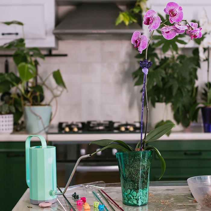 Горшок для орхидей, 1,3 л, 13,6 &times; 14,1 &times; 20 см, пластик, прозрачно-бирюзовый