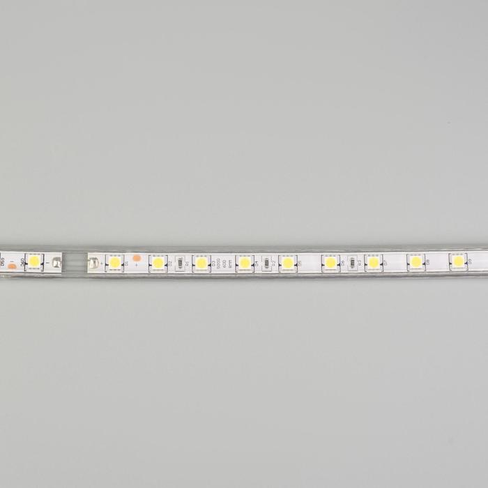 Светодиодная лента Ecola STD 14 &times; 7 мм, 100 м, IP68, SMD5050, 60 LED/м, 14.4 Вт/м, 220 В, 6000К