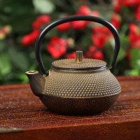 Чайник для плиты Доляна &laquo;Восточная ночь. Золото&raquo;, 300 мл, с ситом, чугун, индукция, цвет золотой