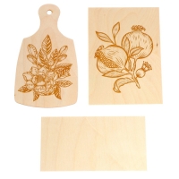 Набор для выжигания по дереву (аппарат с насад, доска 1 шт, доска разд. 1 шт.) Набор для выжигания по дереву (аппарат с насад, доска 1 шт, доска разд. 1 шт.)