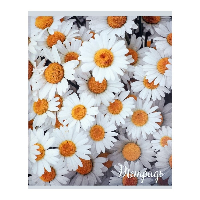 Тетрадь 96 листов в клетку Тетрадь 96 листов в клетку "Цветы", обложка мелованный картон, блок №2, белизна 75% (серые листы), МИКС