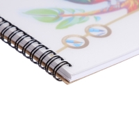 Альбом для рисования А4, 40 листов, блок 120 г/м&sup2;, на спирали, Erich Krause "Birds", пластиковая обложка, 100% белизна, перфорация на отрыв, твердая подложка