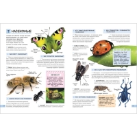 &laquo;Большой подарок школьнику&raquo;