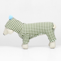 Комбинезон "Пудра", размер S (ДС 25 см, ОШ 29 см, ОГ 40 см) бежевый/зелёный Комбинезон "Пудра", размер S (ДС 25 см, ОШ 29 см, ОГ 40 см) бежевый/зелёный