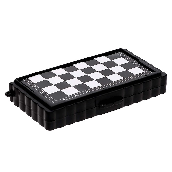 Настольная игра &laquo;Шашки, шахматы&raquo;, 2 в 1, на магнитах, 4+