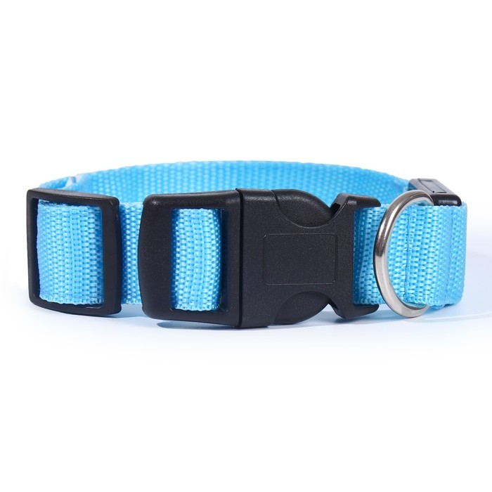 Ошейник с подсветкой Двойная полоса размер S, ОШ 35-43 х 2,5 см, 3 режима свечения голубой Ошейник с подсветкой Двойная полоса размер S, ОШ 35-43 х 2,5 см, 3 режима свечения голубой