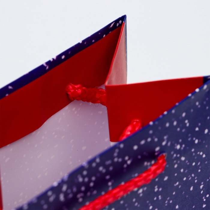 Новый год. Пакет подарочный новогодний под бутылку, упаковка Новый год. Пакет подарочный новогодний под бутылку, упаковка "Праздник в городе", 12 х 36 х 8,5 см.