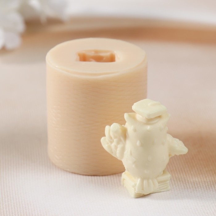 Молд силиконовый Молд силиконовый "Ученая сова №2" 4х4,2х4,2 см