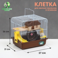 Клетка для грызунов "Пижон", укомплектованная, 27 х 21 х 26 см, коричневая Клетка для грызунов "Пижон", укомплектованная, 27 х 21 х 26 см, коричневая