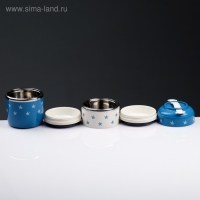 Ланч-бокс "Котята", 1.23 л, сохраняет тепло 4 ч, 11.5 х 23 см, микс Ланч-бокс "Котята", 1.23 л, сохраняет тепло 4 ч, 11.5 х 23 см, микс