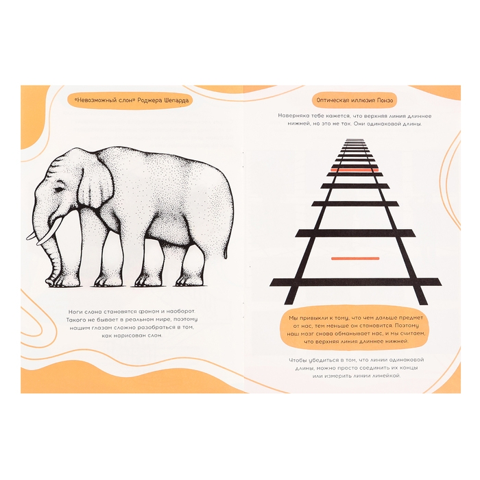 Набор «Оптические иллюзии», 4 книги по 36 стр., 7+ Набор «Оптические иллюзии», 4 книги по 36 стр., 7+