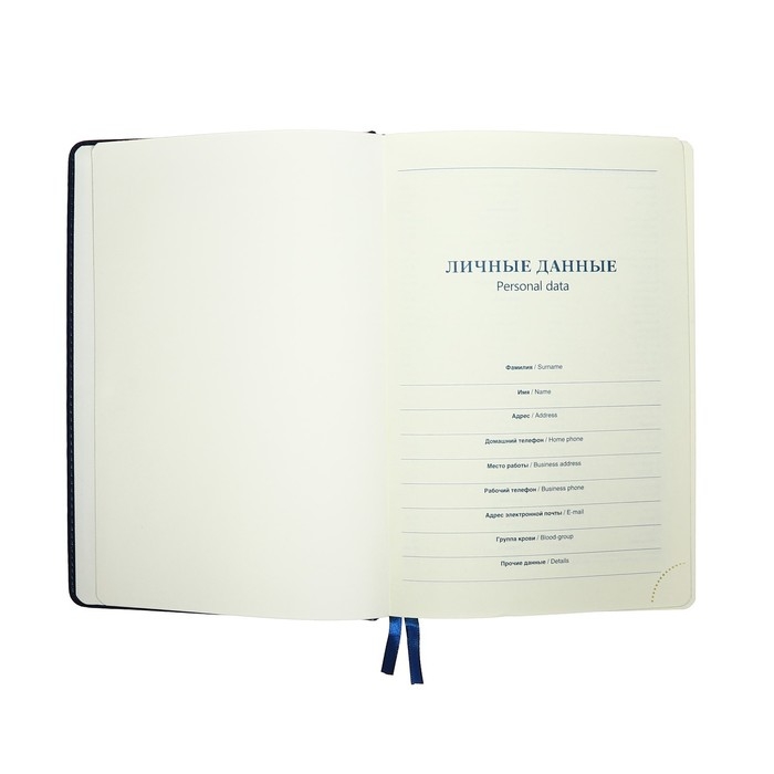 Ежедневник НЕдатированный А5, 136 листов в линейку, кожзам Ежедневник НЕдатированный А5, 136 листов в линейку, кожзам "Небраска", золотой срез, синий