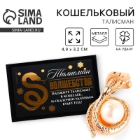 Кошельковый талисман новогодний в коробке &laquo;Новый год: Талисман волшебства&raquo;, фигурка, 5,4 х 3,6 см