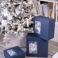 Коробка The Blue Bear, M