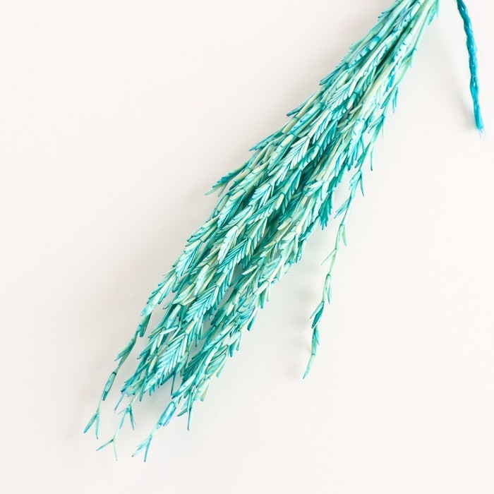 Набор сухоцветов "Райграс", банч 21 шт, длина 60 (+/- 6 см), бирюзовый