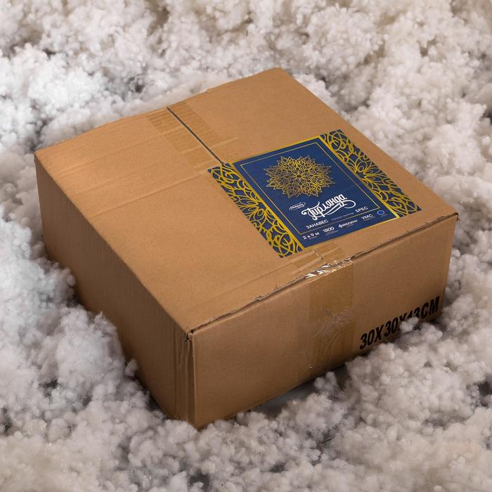 Гирлянда &laquo;Занавес&raquo; 2 &times; 9 м, IP44, УМС, белая нить, 1800 LED, свечение синее, 220 В