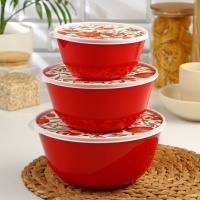 Набор мисок с крышкой &laquo;Гранат&raquo;, 3 шт: 1 л, 2 л, 3 л, цвет красный