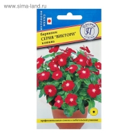 Семена цветов Барвинок "Виктори" Клюква, О, 10 шт Семена цветов Барвинок "Виктори" Клюква, О, 10 шт