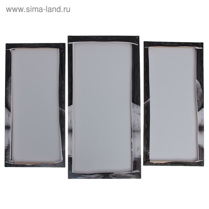 Модульная картина "Лебеди под луной"  (2-25х52; 1-30х60) 60х80 см