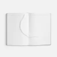 Ежедневник Nebraska Flex, недатированный, белый с серебристым