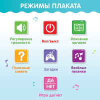 Обучающий плакат «Изучаем анатомию: Моё тело» Обучающий плакат «Изучаем анатомию: Моё тело»