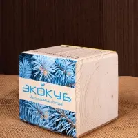 Набор для выращивания &laquo;Экокуб&raquo;, ель голубая