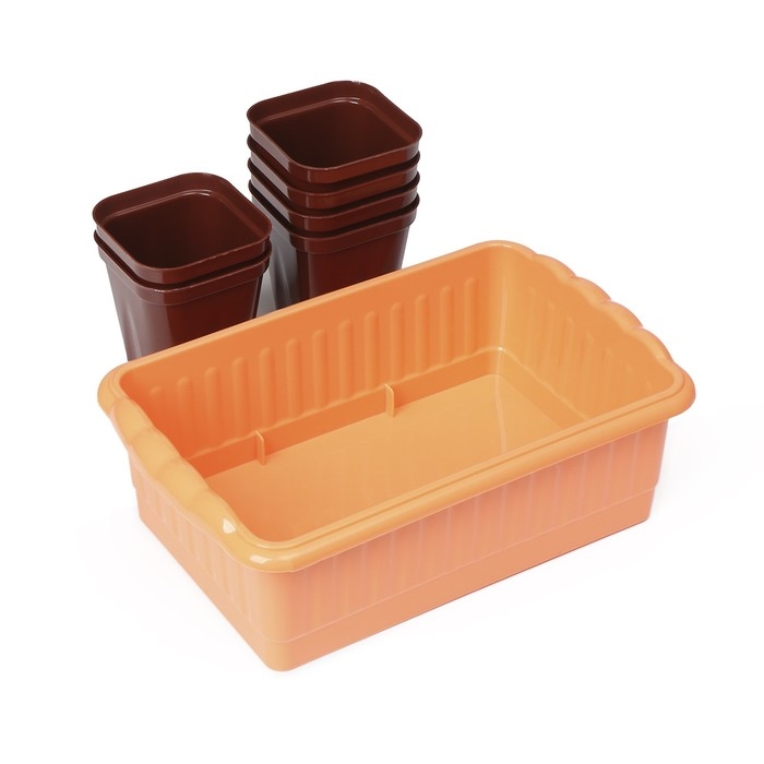 Набор для рассады: стаканы по 250 мл (6 шт.), контейнер 24 &times; 16 см, МИКС