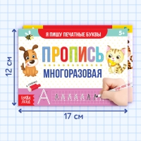 Набор многоразовых прописей &laquo;Пиши- стирай. Пишем буквы и цифры&raquo;, с маркером 2 шт., 12 стр.