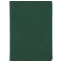 Ежедневник Basis, датированный, зеленый